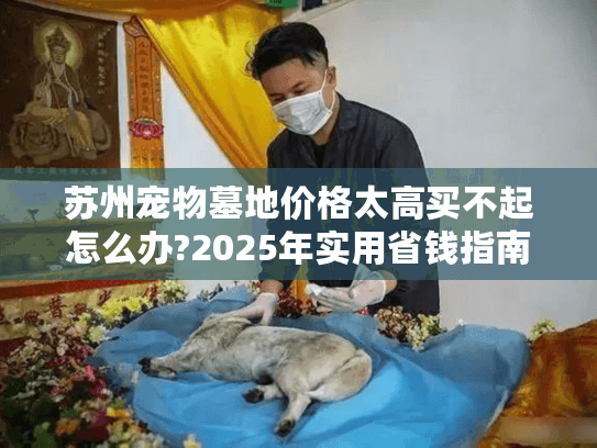 苏州宠物墓地价格太高买不起怎么办?2025年实用省钱指南