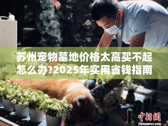 苏州宠物墓地价格太高买不起怎么办?2025年实用省钱指南