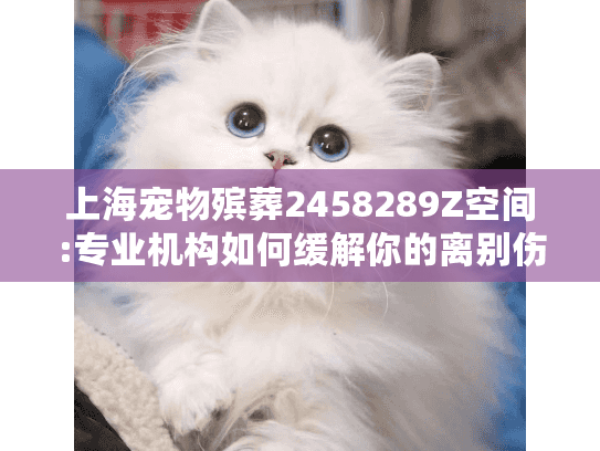 上海宠物殡葬2458289Z空间:专业机构如何缓解你的离别伤痛?