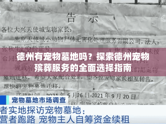 德州有宠物墓地吗？探索德州宠物殡葬服务的全面选择指南