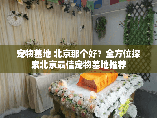 宠物墓地 北京那个好？全方位探索北京最佳宠物墓地推荐