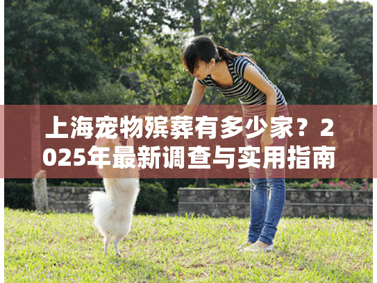 上海宠物殡葬有多少家？2025年最新调查与实用指南