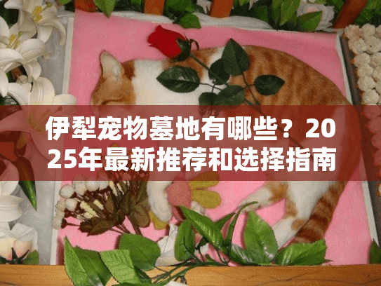 伊犁宠物墓地有哪些？2025年最新推荐和选择指南