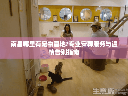 南昌哪里有宠物墓地?专业安葬服务与温情告别指南