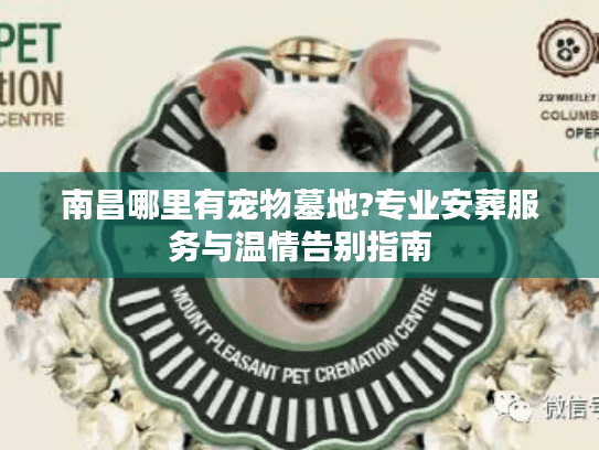 南昌哪里有宠物墓地?专业安葬服务与温情告别指南