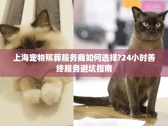 上海宠物殡葬服务商如何选择?24小时善终服务避坑指南