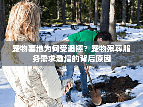 宠物墓地为何受追捧？宠物殡葬服务需求激增的背后原因