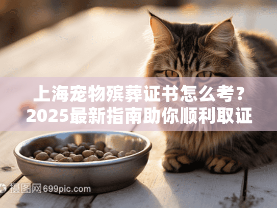 上海宠物殡葬证书怎么考？2025最新指南助你顺利取证