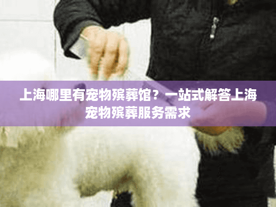 上海哪里有宠物殡葬馆？一站式解答上海宠物殡葬服务需求