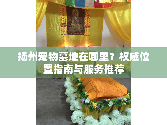 扬州宠物墓地在哪里？权威位置指南与服务推荐