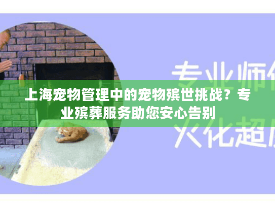 上海宠物管理中的宠物殡世挑战？专业殡葬服务助您安心告别