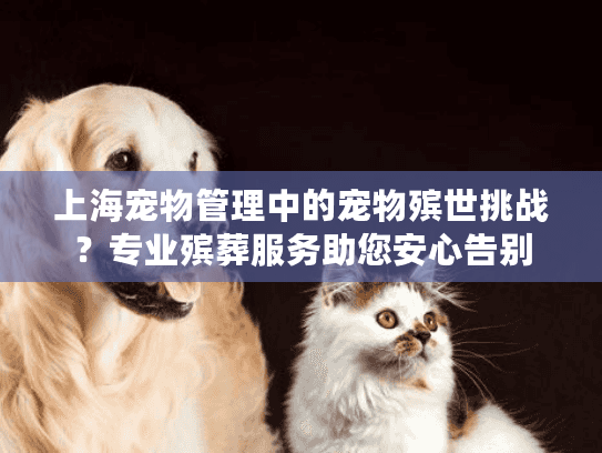 上海宠物管理中的宠物殡世挑战？专业殡葬服务助您安心告别