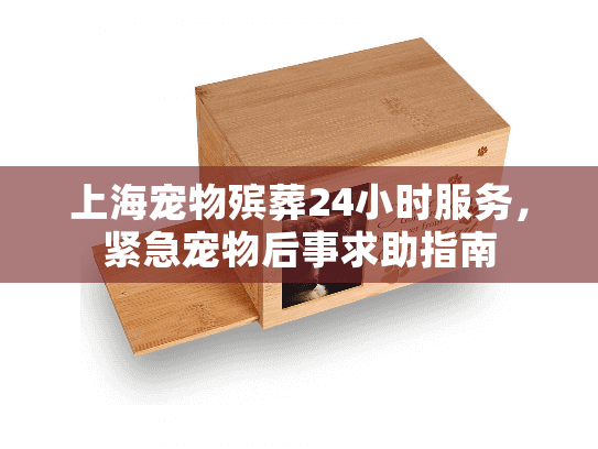 上海宠物殡葬24小时服务，紧急宠物后事求助指南