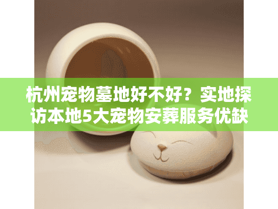 杭州宠物墓地好不好?实地探访本地5大宠物安葬服务优缺点对比 杭州宠物墓地好不好?实地探访本地5大宠物安葬服务优缺点对比