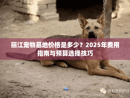 丽江宠物墓地价格是多少？2025年费用指南与预算选择技巧