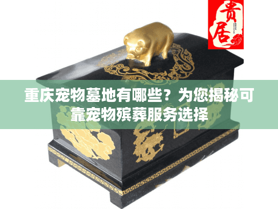 重庆宠物墓地有哪些？为您揭秘可靠宠物殡葬服务选择