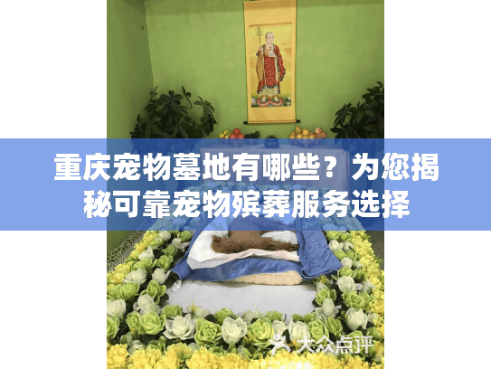 重庆宠物墓地有哪些？为您揭秘可靠宠物殡葬服务选择