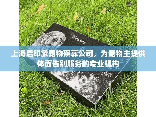 上海后印象宠物殡葬公司，为宠物主提供体面告别服务的专业机构
