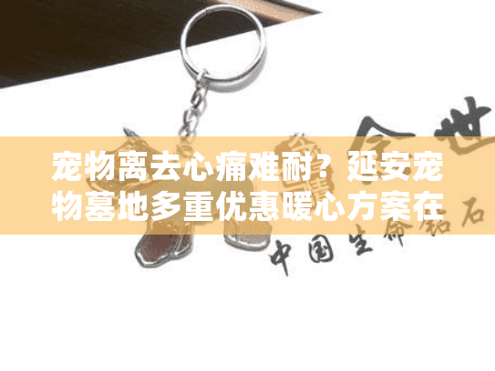 宠物离去心痛难耐？延安宠物墓地多重优惠暖心方案在等待