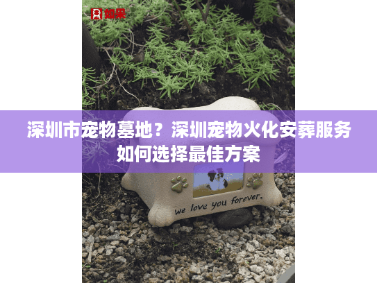 深圳市宠物墓地？深圳宠物火化安葬服务如何选择最佳方案