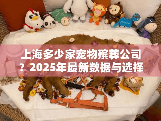 上海多少家宠物殡葬公司？2025年最新数据与选择指南