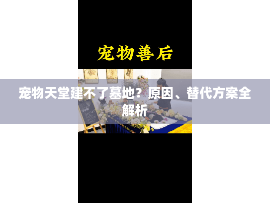 宠物天堂建不了墓地？原因、替代方案全解析