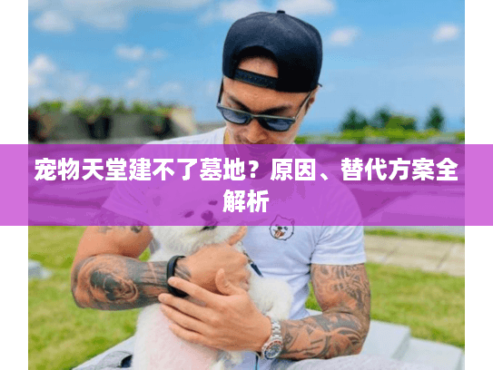 宠物天堂建不了墓地？原因、替代方案全解析