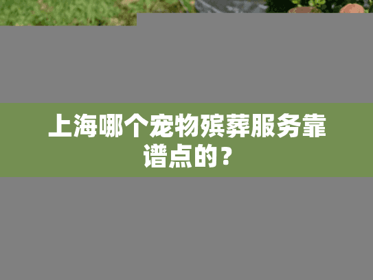 上海哪个宠物殡葬服务靠谱点的？