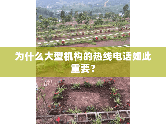 为什么大型机构的热线电话如此重要？