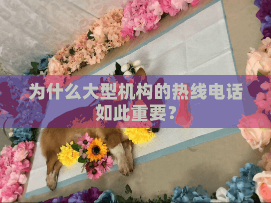 为什么大型机构的热线电话如此重要？
