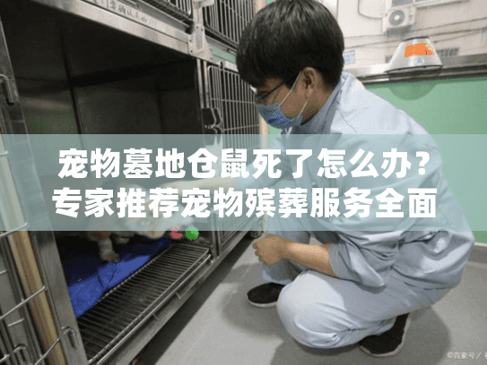 宠物墓地仓鼠死了怎么办?专家推荐宠物殡葬服务全面指南 宠物墓地仓鼠死了怎么办?专家推荐宠物殡葬服务全面指南
