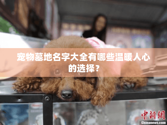 宠物墓地名字大全有哪些温暖人心的选择？