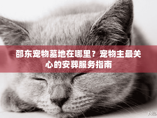邵东宠物墓地在哪里？宠物主最关心的安葬服务指南