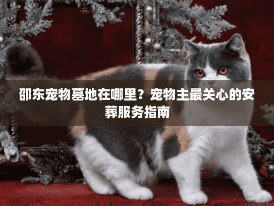 邵东宠物墓地在哪里？宠物主最关心的安葬服务指南