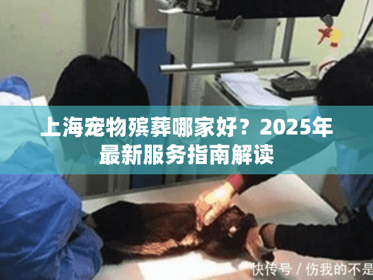 上海宠物殡葬哪家好？2025年最新服务指南解读