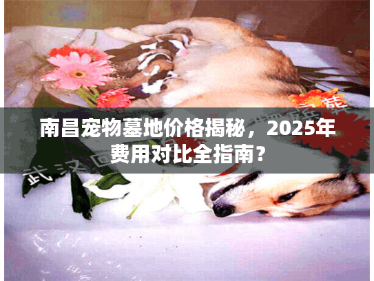 南昌宠物墓地价格揭秘，2025年费用对比全指南？