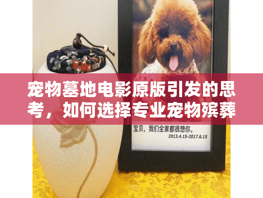 宠物墓地电影原版引发的思考，如何选择专业宠物殡葬服务告别痛楚