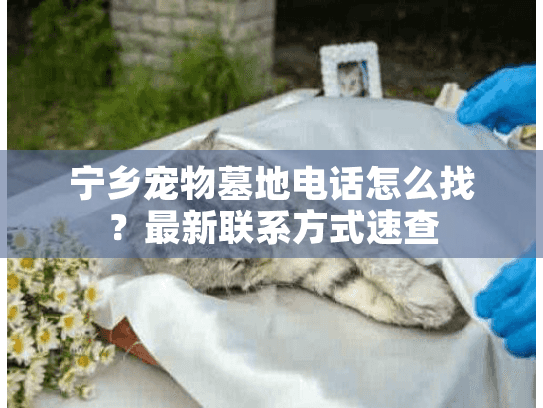 宁乡宠物墓地电话怎么找？最新联系方式速查