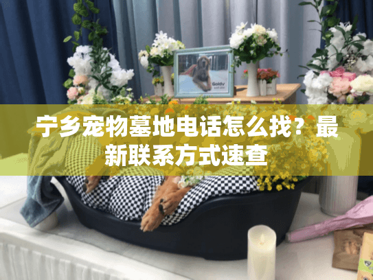 宁乡宠物墓地电话怎么找？最新联系方式速查