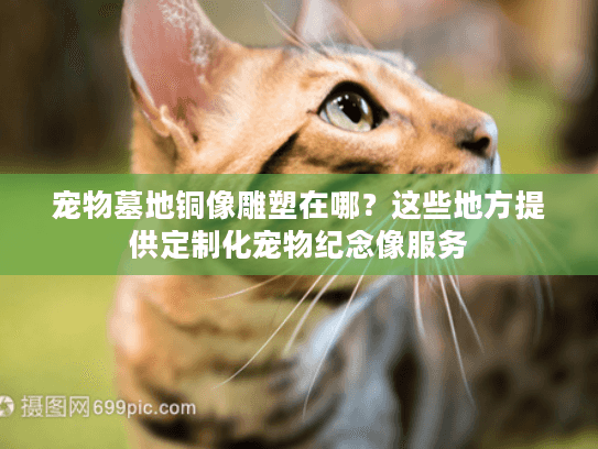 宠物墓地铜像雕塑在哪？这些地方提供定制化宠物纪念像服务