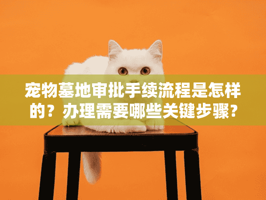 宠物墓地审批手续流程是怎样的？办理需要哪些关键步骤？