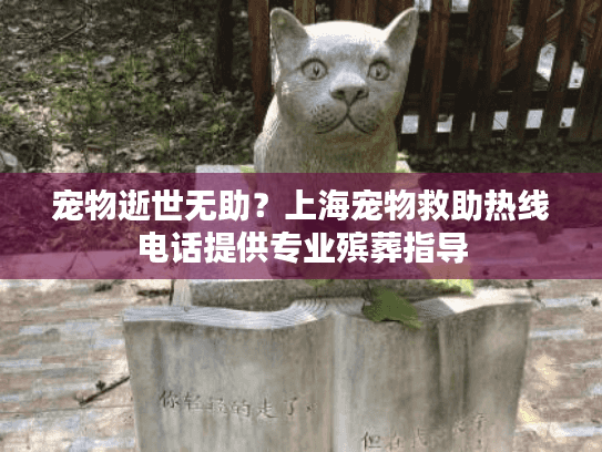 宠物逝世无助？上海宠物救助热线电话提供专业殡葬指导