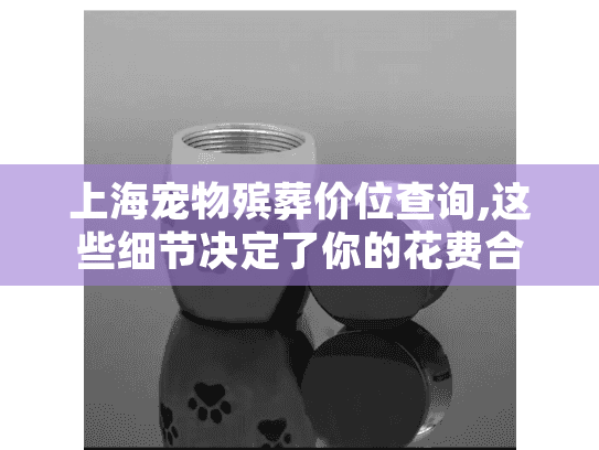 上海宠物殡葬价位查询,这些细节决定了你的花费合理吗？
