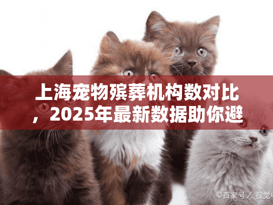 上海宠物殡葬机构数对比，2025年最新数据助你避开服务陷阱？