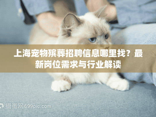 上海宠物殡葬招聘信息哪里找？最新岗位需求与行业解读