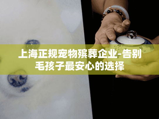 上海正规宠物殡葬企业-告别毛孩子最安心的选择
