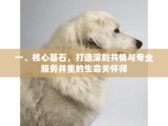 一、核心基石，打造深刻共情与专业服务并重的生命关怀师