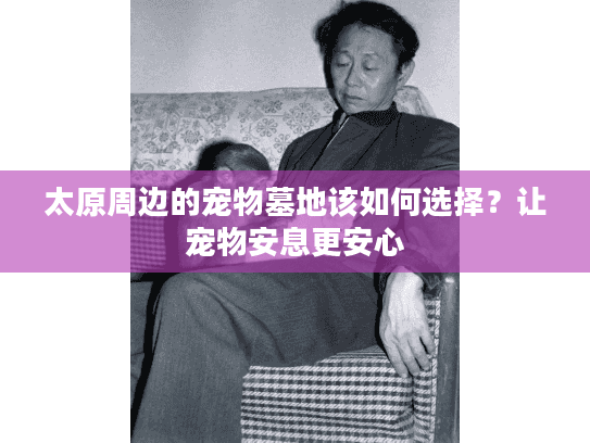 太原周边的宠物墓地该如何选择？让宠物安息更安心
