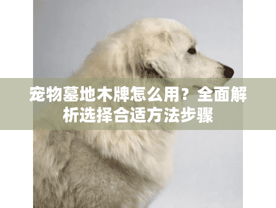 宠物墓地木牌怎么用?全面解析选择合适方法步骤 宠物墓地木牌怎么用?全面解析选择合适方法步骤