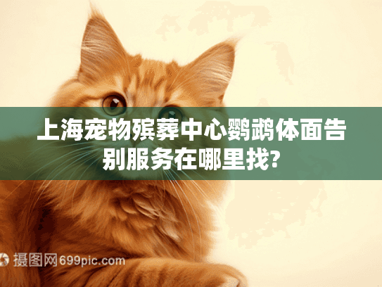 上海宠物殡葬中心鹦鹉体面告别服务在哪里找?